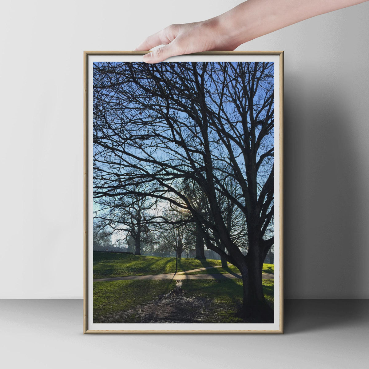 Bare Winter Trees Park Poster, Misty Morning Nature Photography Print, Blue Sky Branches Wall Art, Woodland Path Home Decor