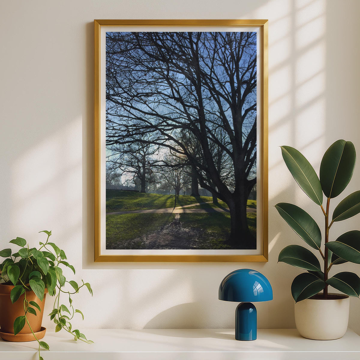 Bare Winter Trees Park Poster - image 2