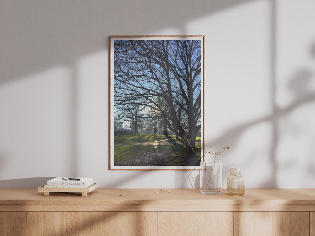 Bare Winter Trees Park Poster - image 4