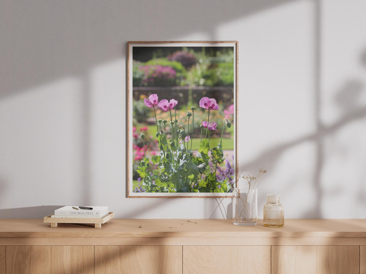 Pink Poppy Garden Poster, Summer Flower Photography Print, Botanical Wall Art, Floral Home Decor, English Garden Photo Print