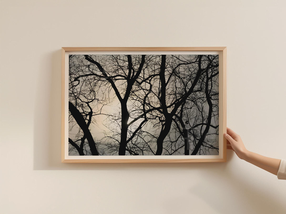 Bare Winter Trees Silhouette Poster, Black Grey Landscape Framed-Print, Moody Nature Wall Art, Woodland Branch Photography Print