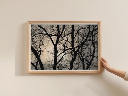 Bare Winter Trees Silhouette Poster, Black Grey Landscape Framed-Print, Moody Nature Wall Art, Woodland Branch Photography Print