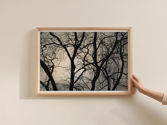 Bare Winter Trees Silhouette Poster, Black Grey Landscape Framed-Print, Moody Nature Wall Art, Woodland Branch Photography Print