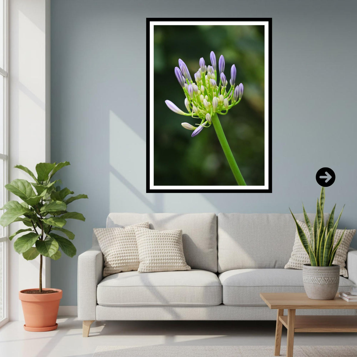 Agapanthus Bud Print | Purple African Lily Botanical Wall Art