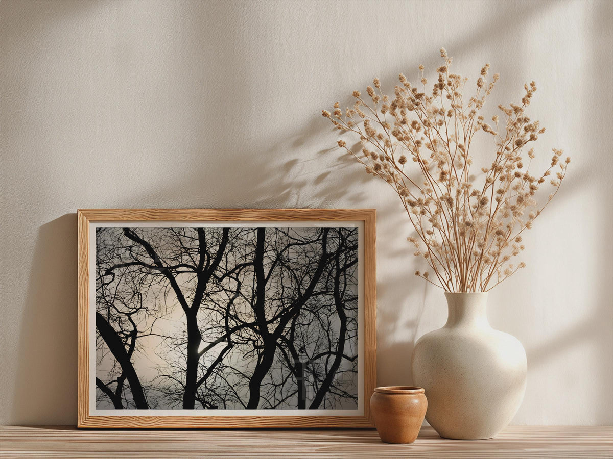 Bare Winter Trees Silhouette Poster - image 3
