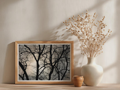 Bare Winter Trees Silhouette Poster - image 3