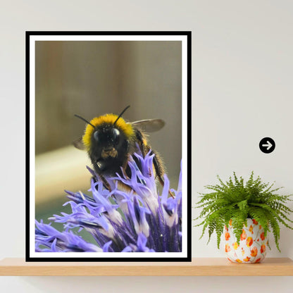 Bumblebee on Echinops Flower Print, Nature Photography, Pollinator Art, Garden Wildlife Decor, Blue Spiky Bloom, Archival Paper, Gift Idea