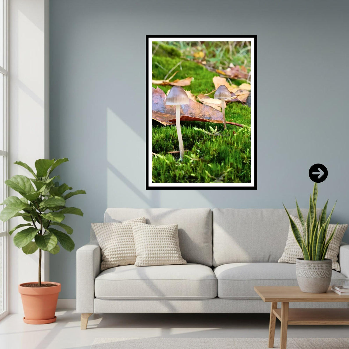 Glassy Inkcap Fungi Print Art, Mushroom Botanical Illustration, Nature Photography, Woodland Decor, Archival FSC Certified Paper, Fungi