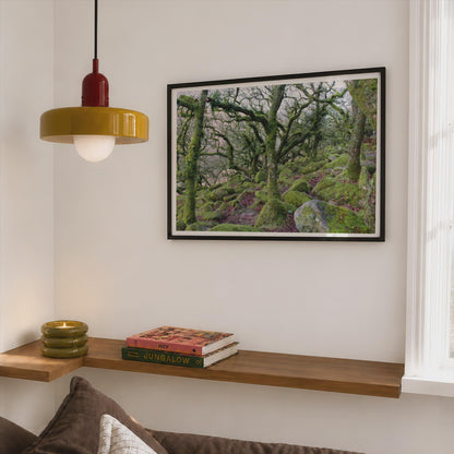 Ancient Mossy Oak Woodland Poster - image 2