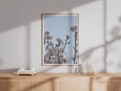 Cherry Blossom Photography Print, Spring Blossom Wall Art, Pale Blue Sky Floral Poster, Pink White Flower Print, Botanical Nature Photo