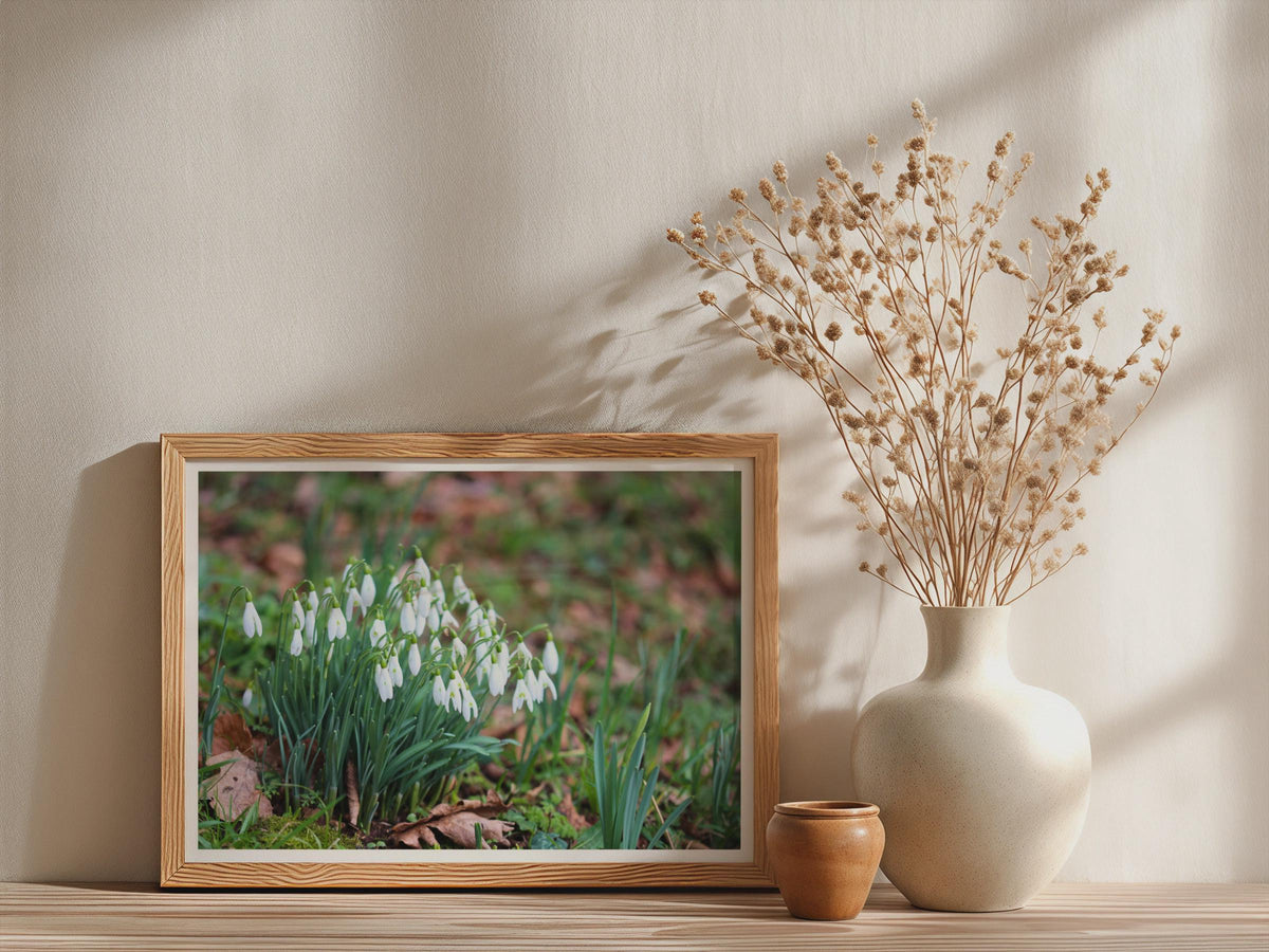 Snowdrop Flower Poster, Spring Garden Botanical Framed-Print, White Wildflower Wall Art, Nature Photography Print, Galanthus Home Decor