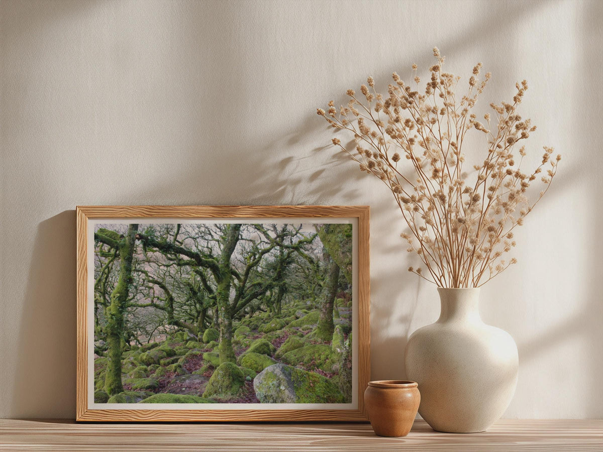Ancient Mossy Oak Woodland Poster - image 3