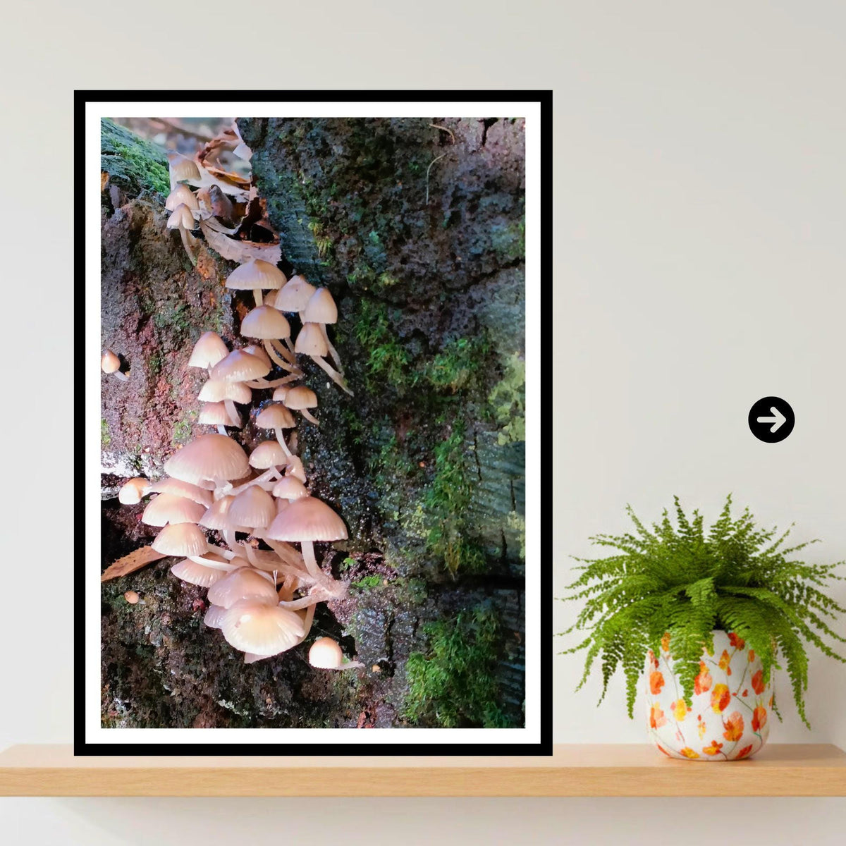 Fairy Bonnet Fungi Print Art, Mushrooms Wall Decor, Nature Photography, Woodland Botanical Poster, FSC Certified Archival Paper, Unique Gift