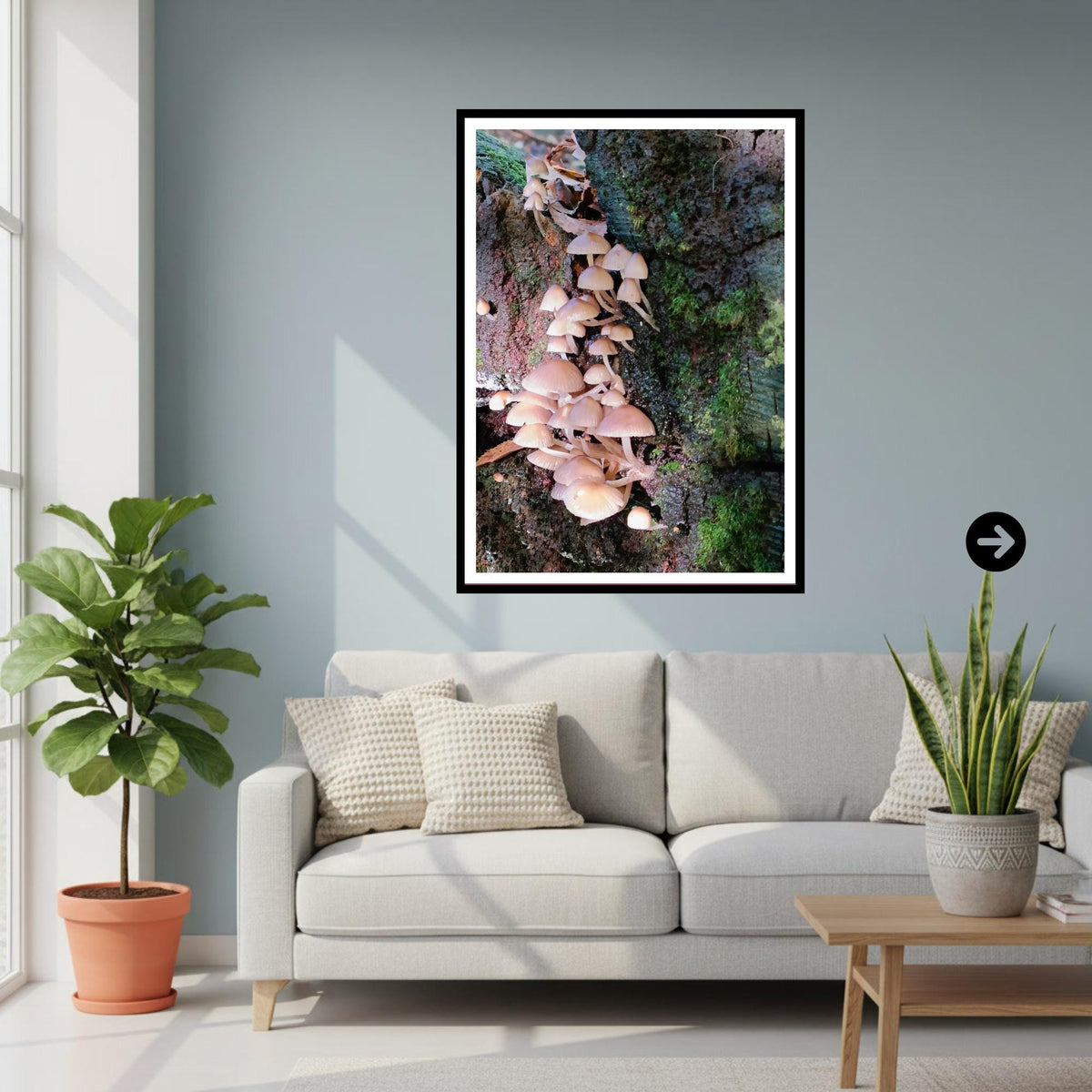 Fairy Bonnet Fungi Print Art, Mushrooms Wall Decor, Nature Photography, Woodland Botanical Poster, FSC Certified Archival Paper, Unique Gift