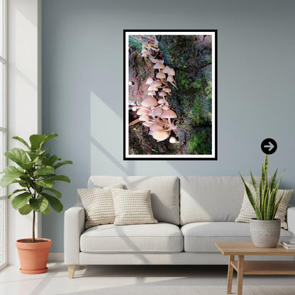Fairy Bonnet Fungi Print Art, Mushrooms Wall Decor, Nature Photography, Woodland Botanical Poster, FSC Certified Archival Paper, Unique Gift