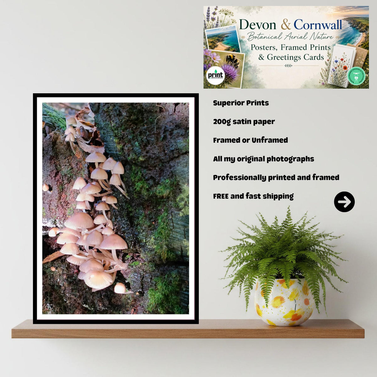 Fairy Bonnet Fungi Print Art, Mushrooms Wall Decor, Nature Photography, Woodland Botanical Poster, FSC Certified Archival Paper, Unique Gift