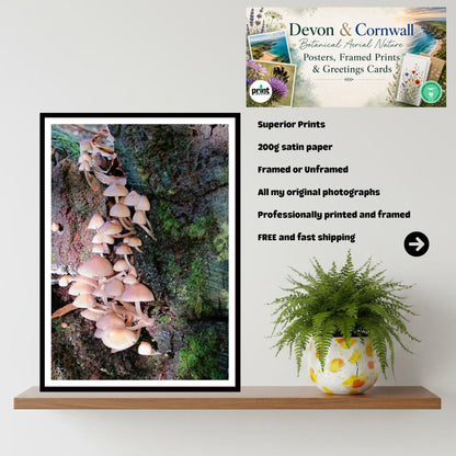 Fairy Bonnet Fungi Print Art, Mushrooms Wall Decor, Nature Photography, Woodland Botanical Poster, FSC Certified Archival Paper, Unique Gift