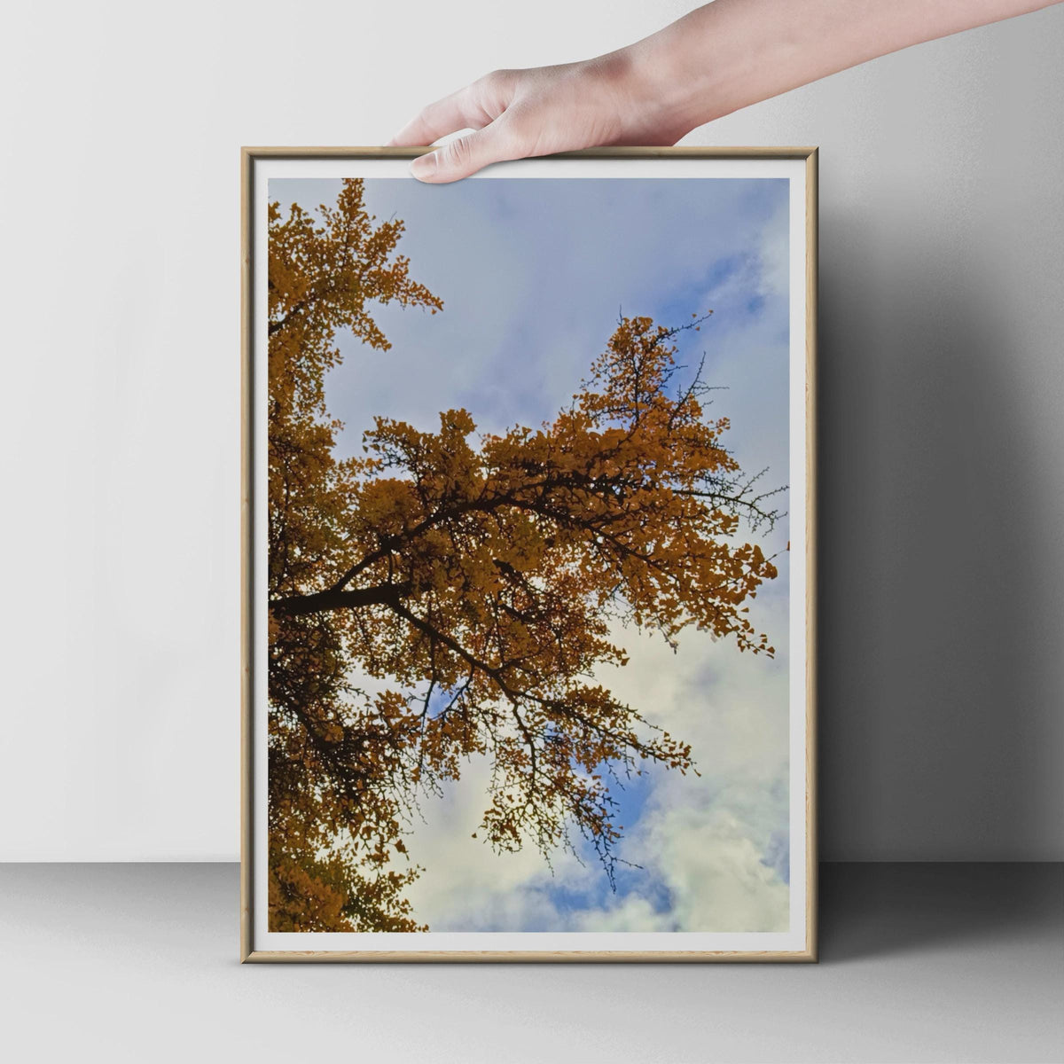 Autumn Tree Canopy Photography Print, Golden Leaves Blue Sky Poster, Looking Up Nature Wall Art, Fall Forest Photo Print for Living Room