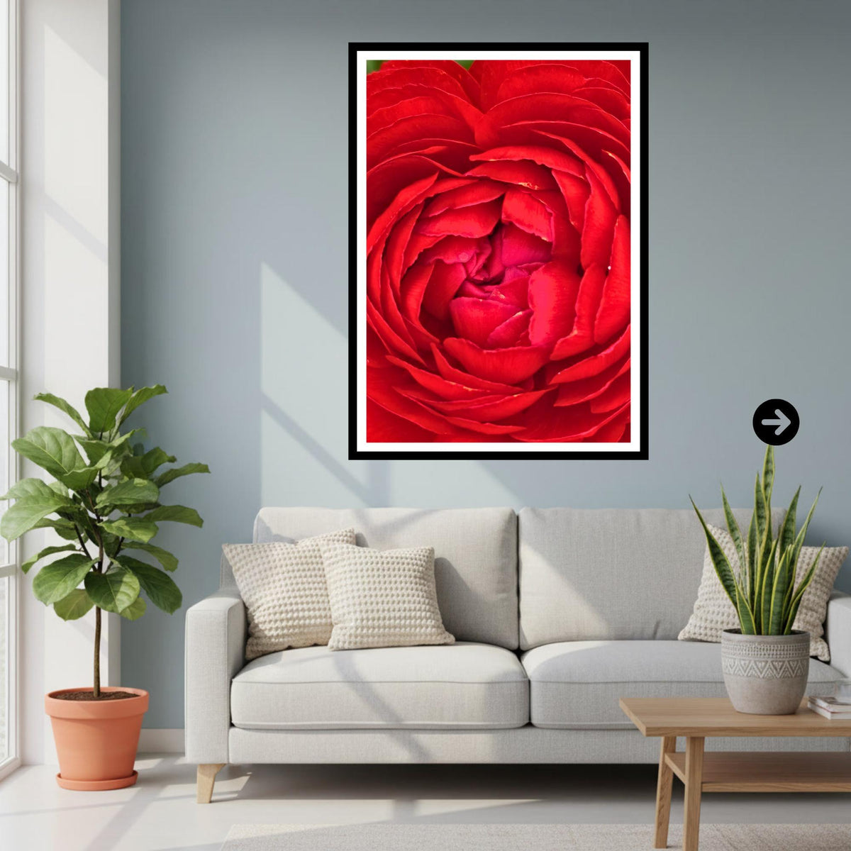 Crimson Peony Macro Print: Deep Red Botanical Wall Art, Floral Photography (Poster/Framed)