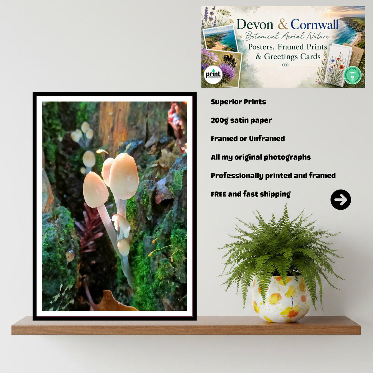 Mica Cap Fungi Print, Nature Photography, Woodland Art, Mushroom Poster, Botanical Wall Decor, Archival FSC Certified Paper, Unique Gift