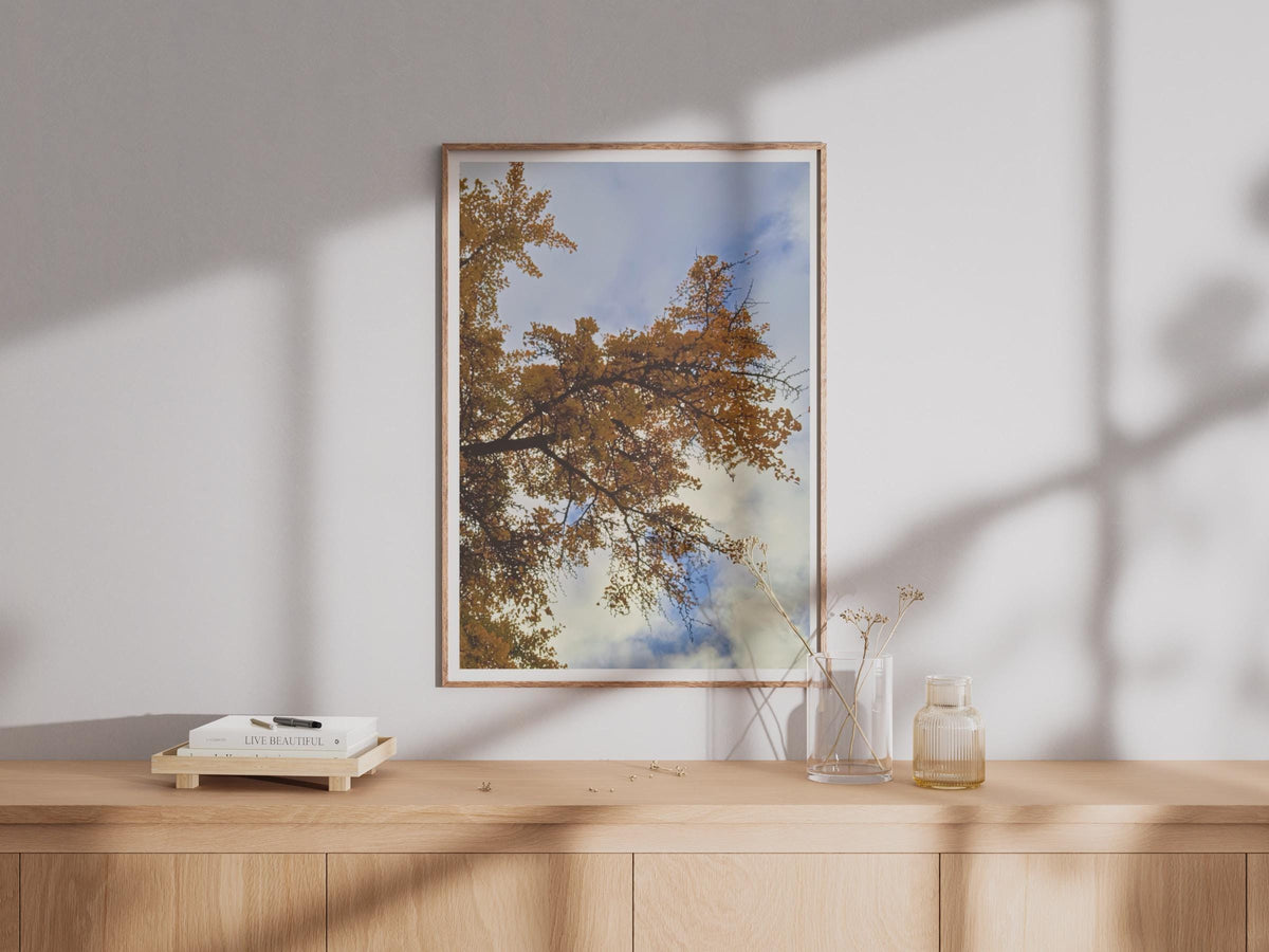 Autumn Tree Canopy Photography Print - image 4