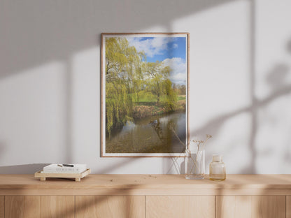 Weeping Willow Tree River Poster - image 4