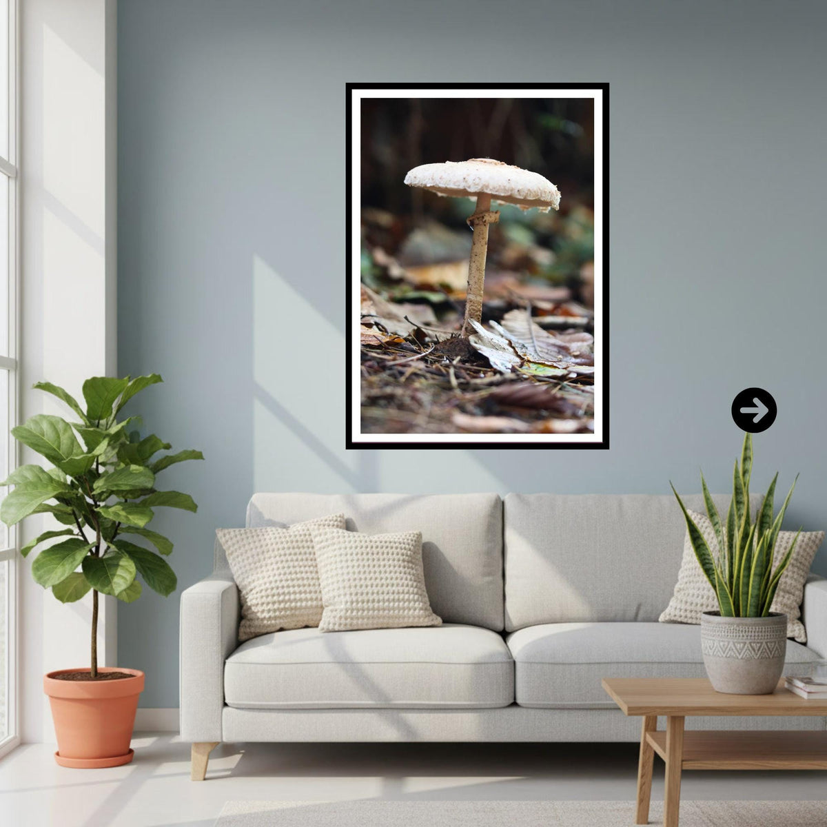 Parasol Mushroom Fungi Print Art, Nature Photography, Woodland Decor, Botanical Wall Art, Mycology Poster, Forest Gift, FSC Certified
