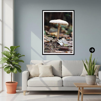Parasol Mushroom Fungi Print Art, Nature Photography, Woodland Decor, Botanical Wall Art, Mycology Poster, Forest Gift, FSC Certified