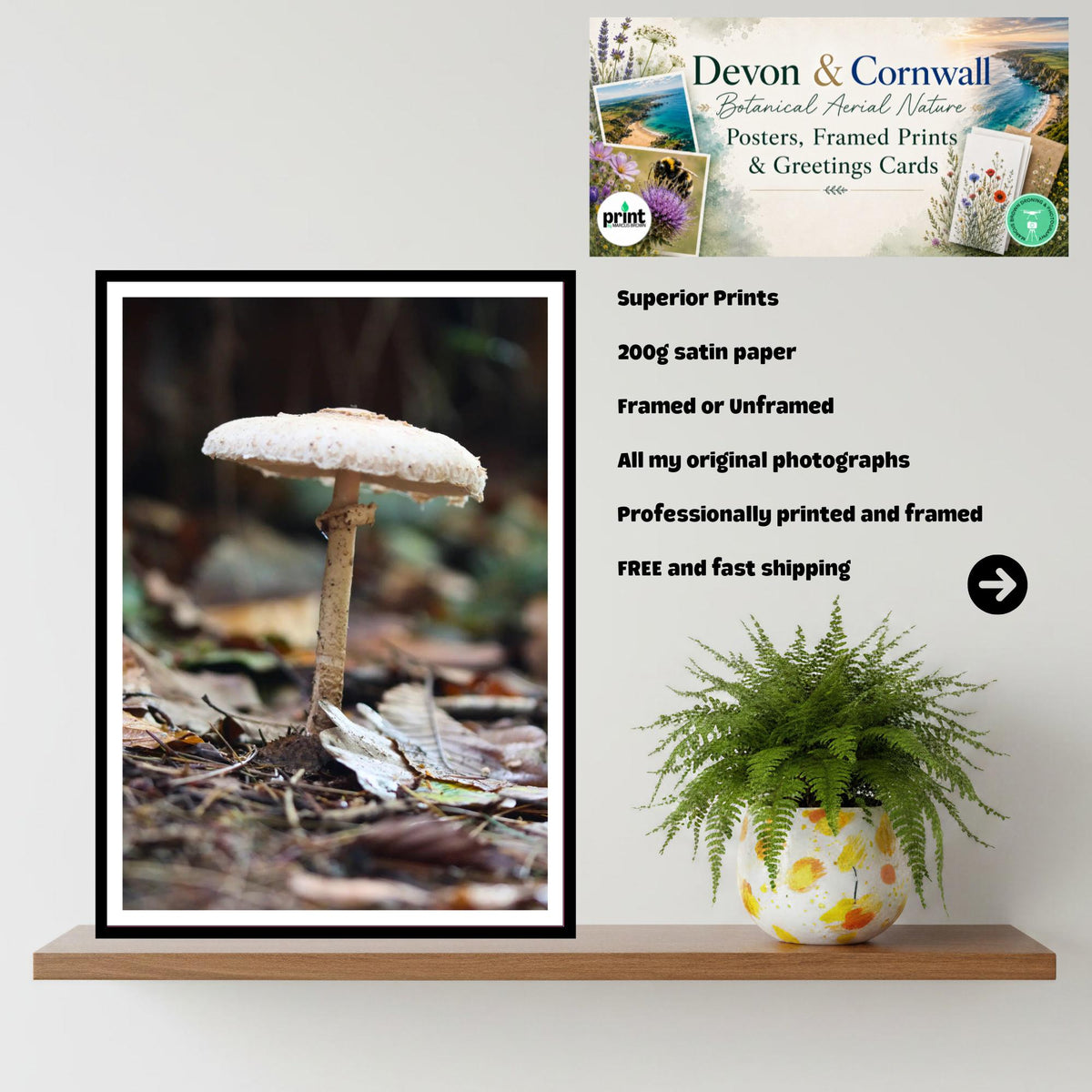 Parasol Mushroom Fungi Print Art, Nature Photography, Woodland Decor, Botanical Wall Art, Mycology Poster, Forest Gift, FSC Certified
