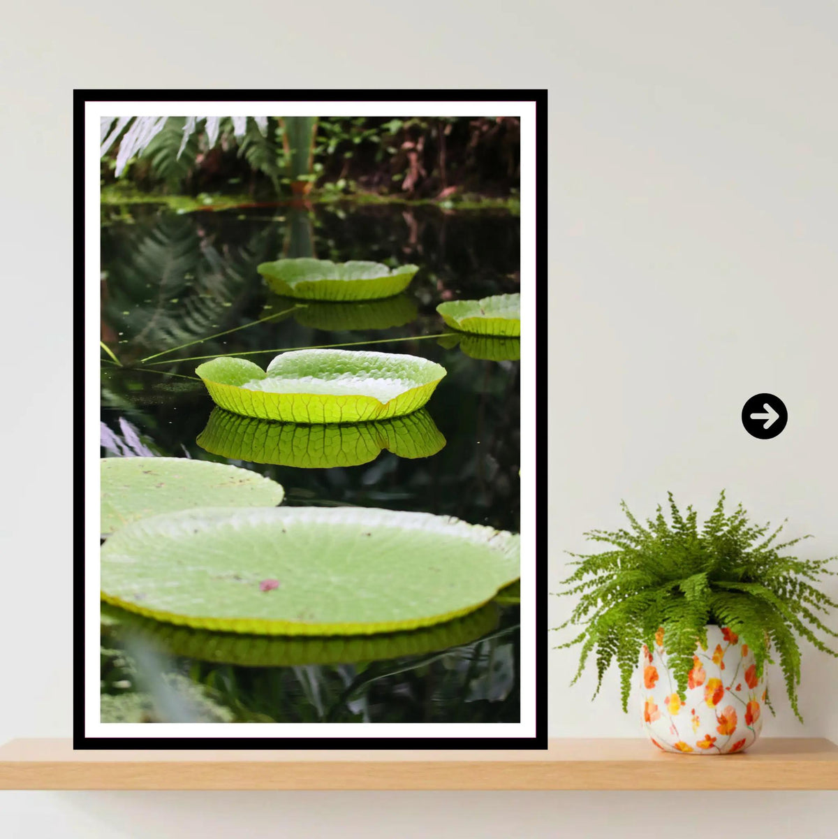 Victoria Water Lily, Eden Project Cornwall — Botanical Wall Art Photography Print