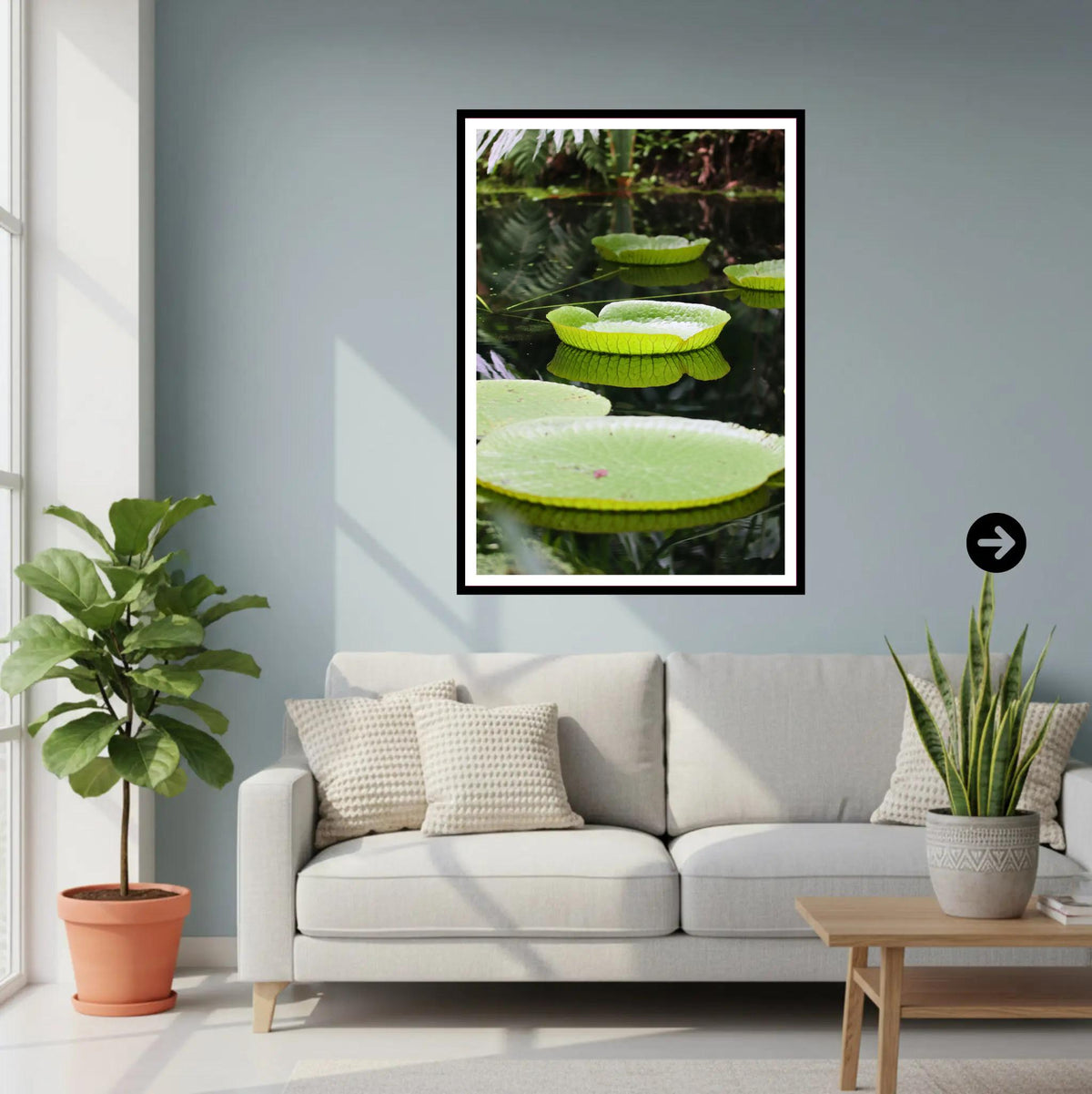 Victoria Water Lily, Eden Project Cornwall — Botanical Wall Art Photography Print
