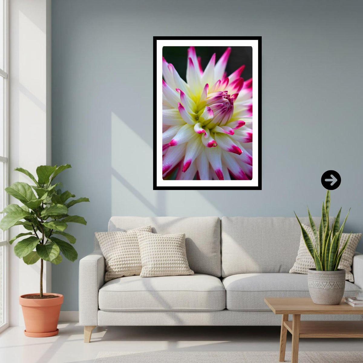 Pink White Cactus Dahlia Print | Macro Flower Photography, Botanical Wall Art