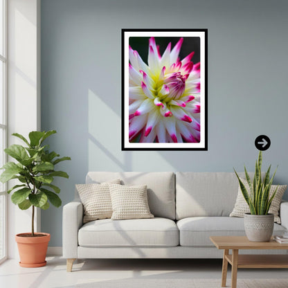 Pink White Cactus Dahlia Print | Macro Flower Photography, Botanical Wall Art