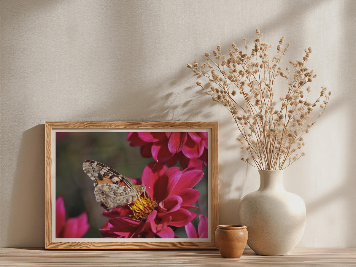 Painted Lady Butterfly on Dahlia Poster, Wildlife Nature Framed-Print, Pink Floral Macro Photography Wall Art, Garden Insect Home Decor