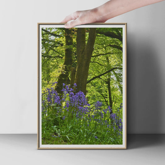 Bluebell Wood Photography Poster, British Woodland Wall Art Print, Purple Wildflower Forest, Spring Nature Print, Green Tree Landscape