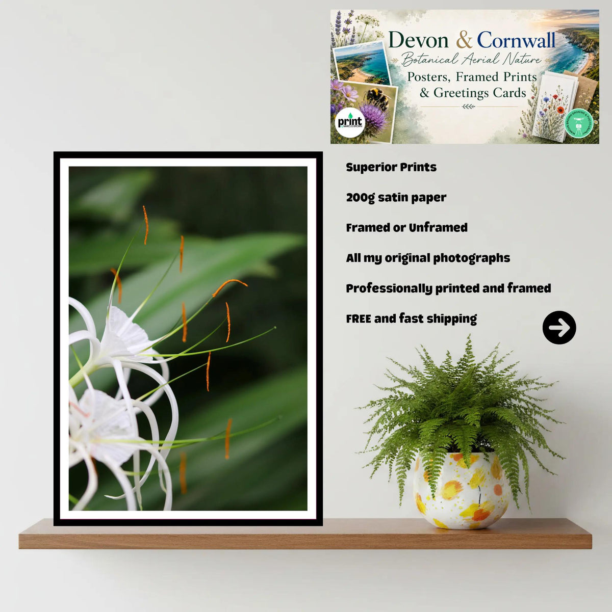 Spider Lily close-up — Eden Project Cornwall Wall Art Photography Print