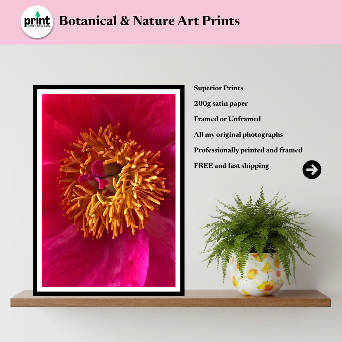 Pink Peony Macro Photography Print | Vibrant Floral Botanical Wall Art