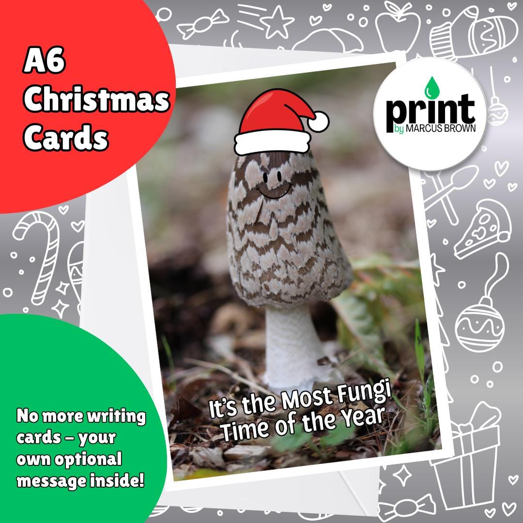 Funny Mushroom Christmas Cards Pack | Fungi Christmas Card | Most Fungi Time of the Year | Cute Nature Xmas Cards A6
