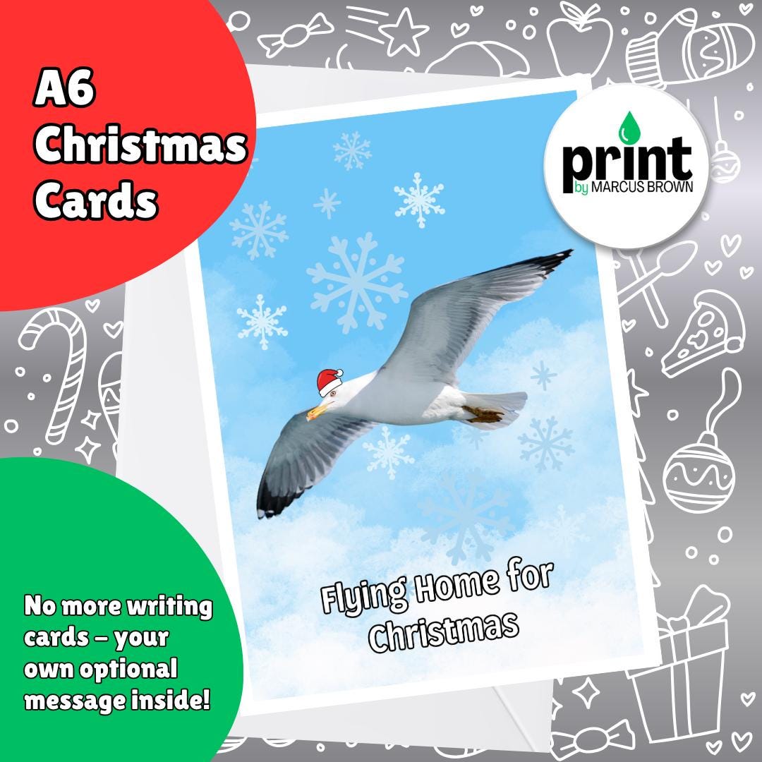 Funny Seagull Christmas Cards Pack | Flying Home for Christmas Card | Coastal Xmas Cards | Bird Christmas Card Multipack A6