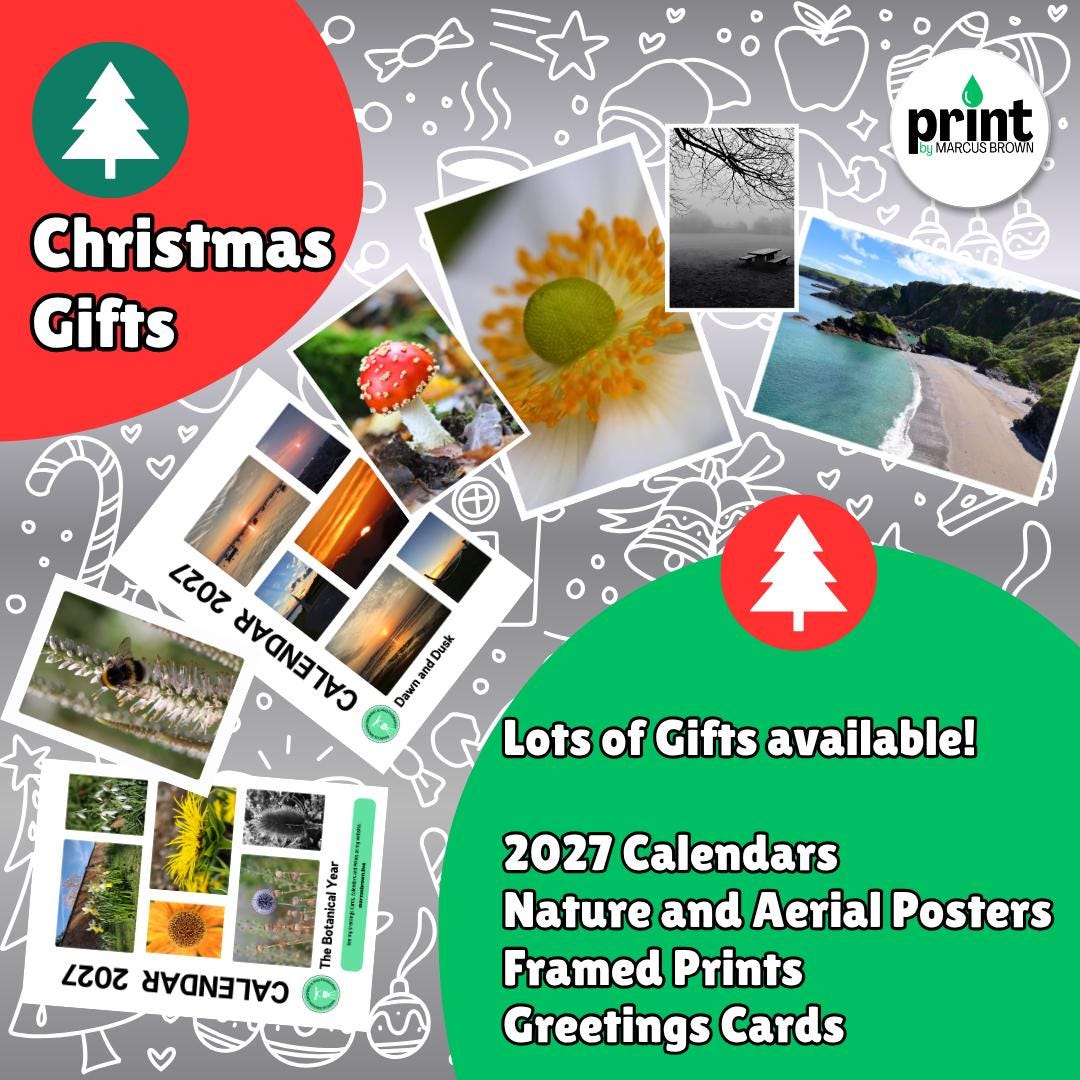 30 Christmas Cards Multipack | 10 Funny Nature Designs | 3 of Each | Christmas Card Variety Pack | Optional Printed Message A6