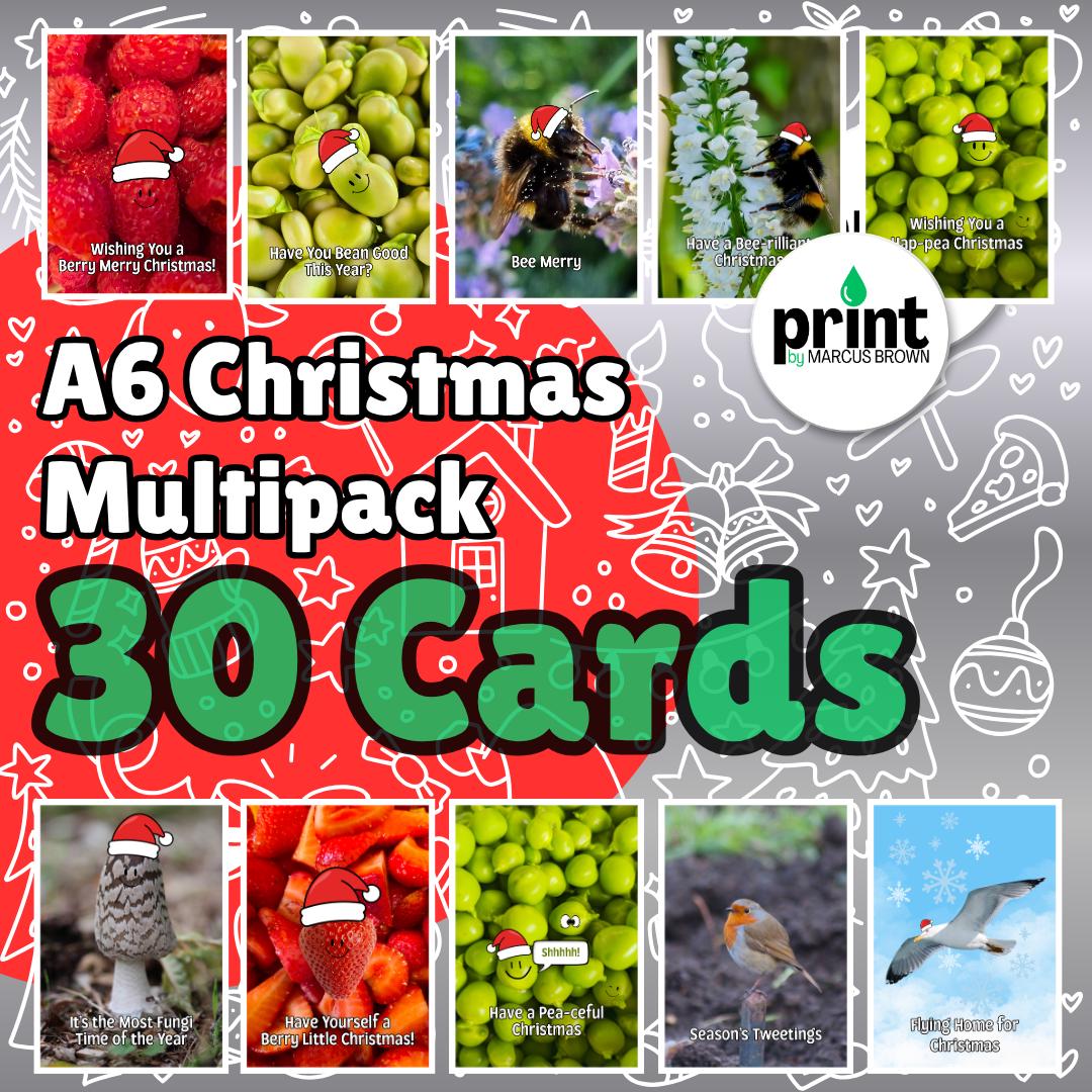 30 Christmas Cards Multipack | 10 Funny Nature Designs | 3 of Each | Christmas Card Variety Pack | Optional Printed Message A6