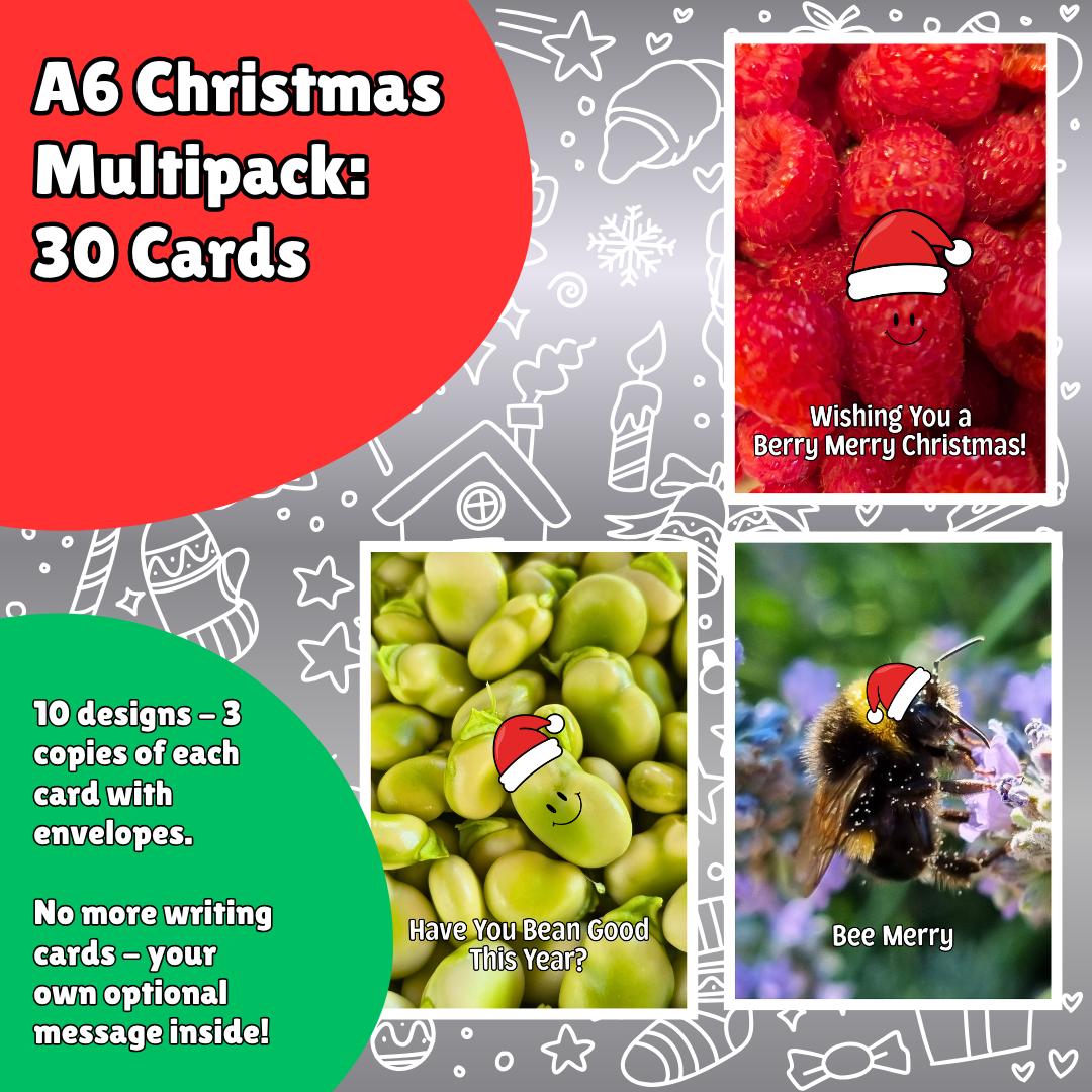 30 Christmas Cards Multipack | 10 Funny Nature Designs | 3 of Each | Christmas Card Variety Pack | Optional Printed Message A6