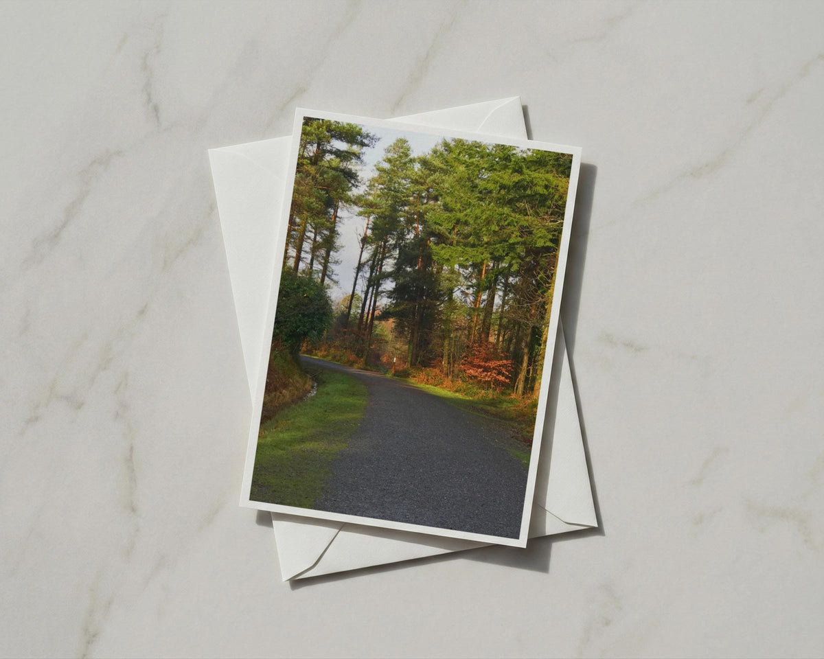 Woodland Path Card, Autumn Forest Lane, Nature Walk Greeting Card, Pine Trees