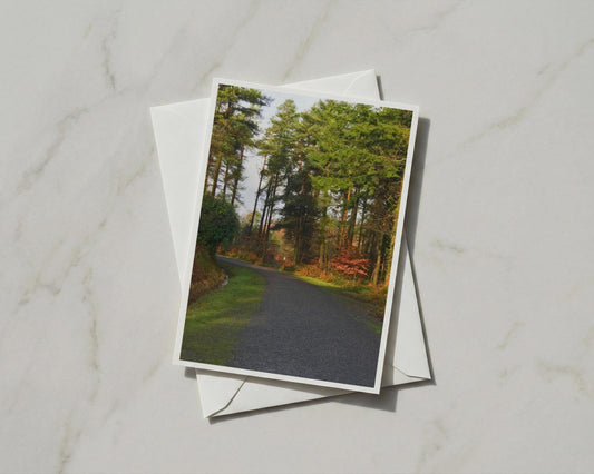 Woodland Path Card, Autumn Forest Lane, Nature Walk Greeting Card, Pine Trees