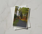 Woodland Path Card, Autumn Forest Lane, Nature Walk Greeting Card, Pine Trees