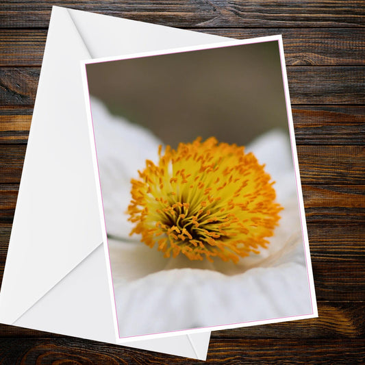 White Himalayan Poppy Macro A6 Greetings Card - Vivid Orange-Yellow Stamens | Inspired by Eden Collection