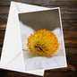 White Himalayan Poppy Macro A6 Greetings Card - Vivid Orange-Yellow Stamens | Inspired by Eden Collection