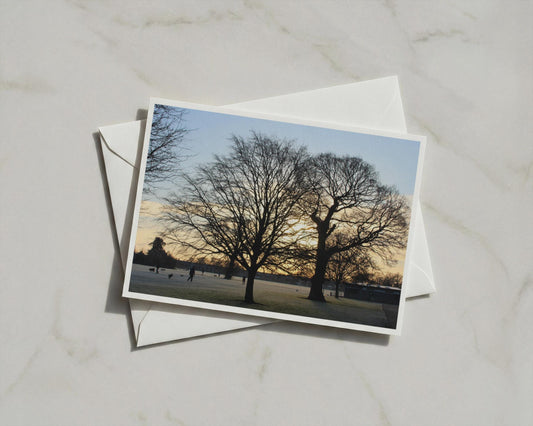 Winter Trees Silhouette Poster, Park Landscape Framed Print, Bare Trees Sunset Wall Art, Nature Photography Print, Dawn Dusk Decor