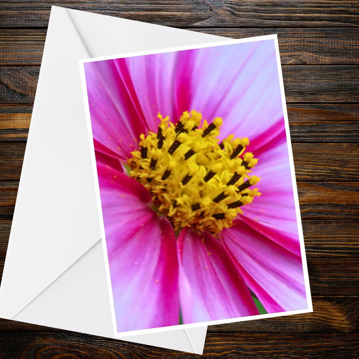 Pink Lilac Cosmos Flower A6 Greeting Card – Nature Photography Floral Blank Card (Summer Collection)