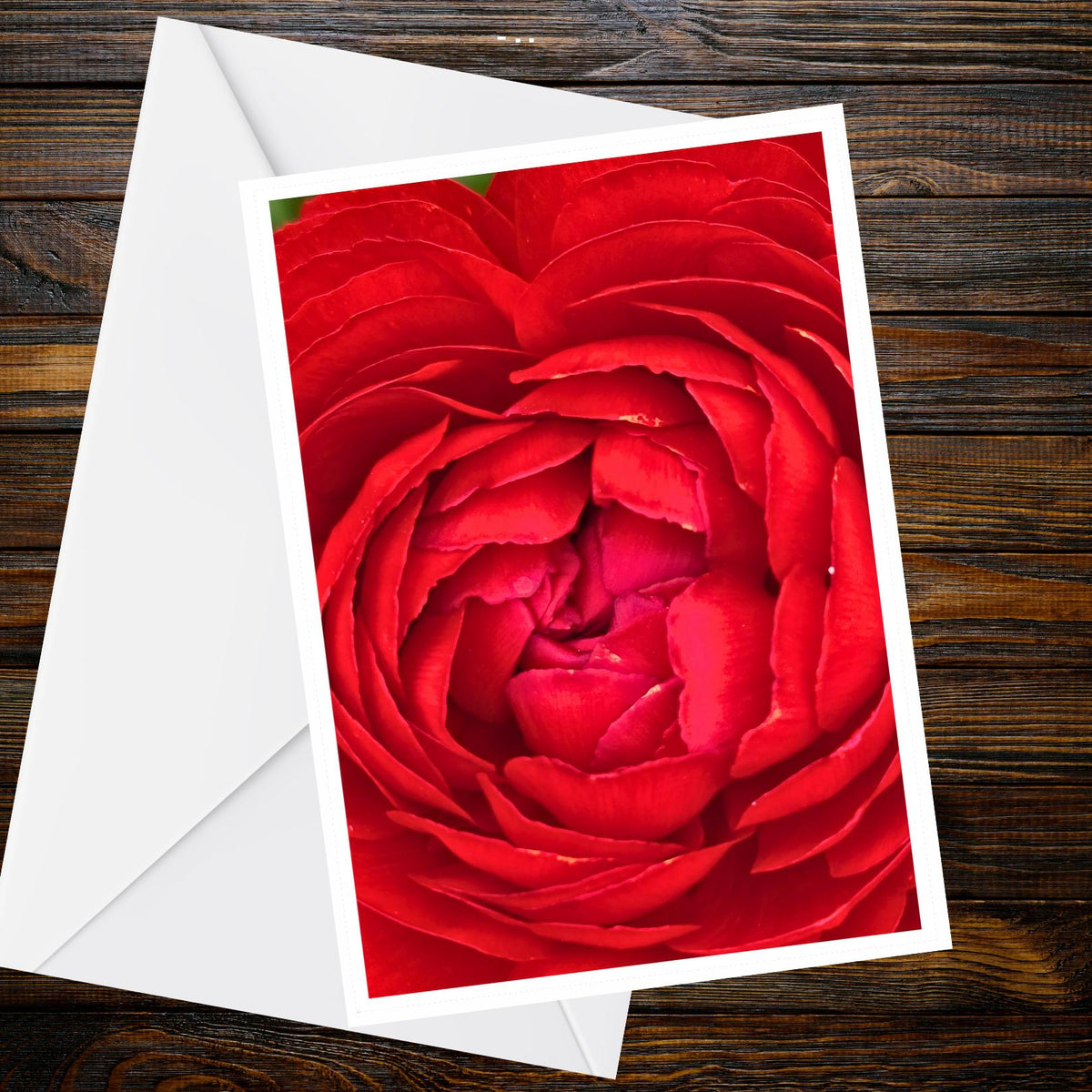 Deep Red Rose Greeting Card, Macro Spiral Petals, A6 Floral Photo — Summer Flower Collection